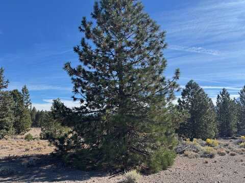 Unit 4 Lot 327 Indian Island, Weed, CA 96094