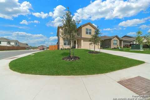 136 Scarlet Macaw, San Antonio, TX 78253