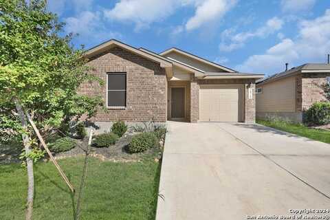 14715 lesser scaup, San Antonio, TX 78253