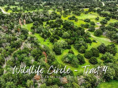 TBD Wildlife Circle, Carmine, TX 78932