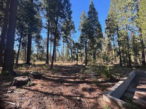 7596 Long Hay Flat Road, Shingletown, CA 96088