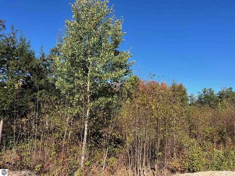 08 Hemlock Hill Drive, Traverse City, MI 49685