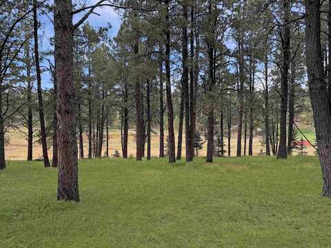 Lot 1133 Spyglass Hill Rd, Angel Fire, NM 87710