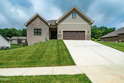 1446 Brumit Fields, Gray, TN 37615