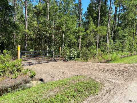 Xxx Lancewood Street, BUNNELL, FL 32110