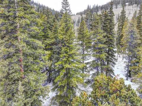 Mine Dump Road, Alma, CO 80420