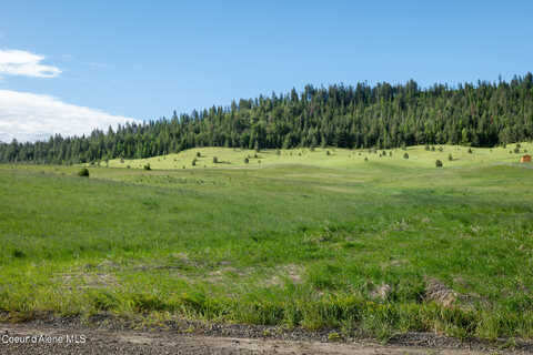 Lot A Merideth Rd., Plummer, ID 83851