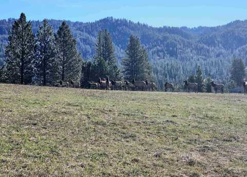 Lot 33 Tbd Scriver Woods Rd, Garden Valley, ID 83622