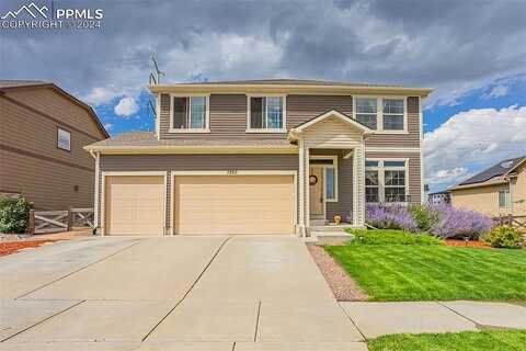 Mountain Spruce, COLORADO SPRINGS, CO 80927