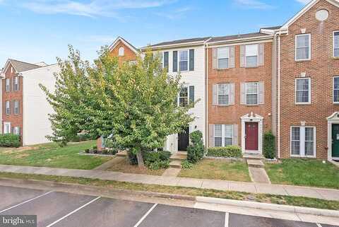 Litchfield, ASHBURN, VA 20147