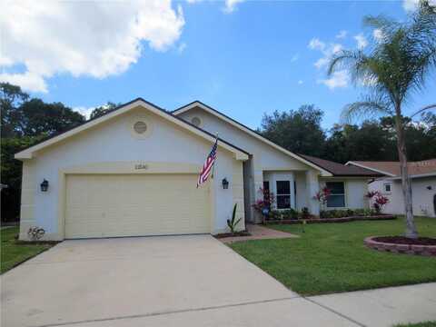 Sandy Hill, ORLANDO, FL 32821