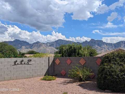 Precious Shard, ORO VALLEY, AZ 85755