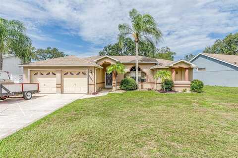 Panther, SPRING HILL, FL 34607