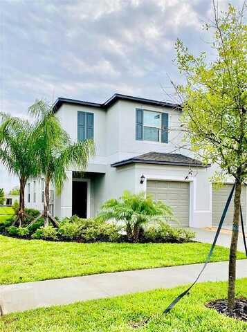 Dupree Hills, RIVERVIEW, FL 33579