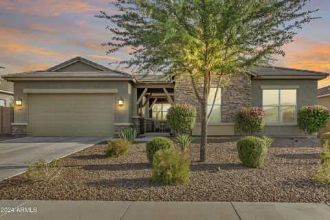 Chestnut, GILBERT, AZ 85298