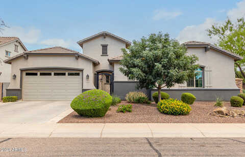 Plum, GILBERT, AZ 85298