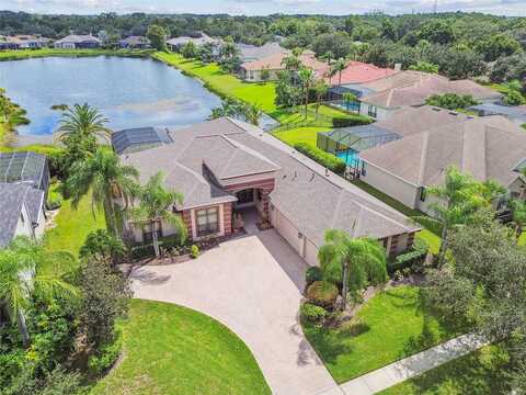 Broadwater, LAND O LAKES, FL 34638