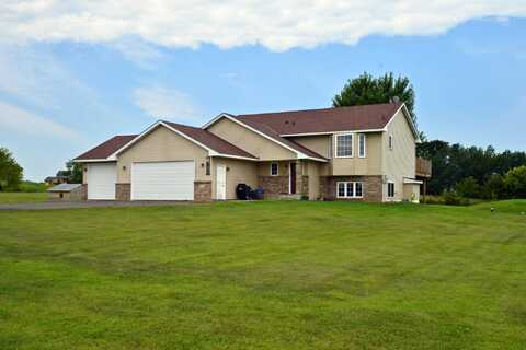 Snow Goose, SHAFER, MN 55074