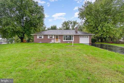 Shetland, HUMMELSTOWN, PA 17036