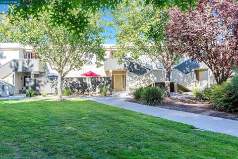 Pine Knoll, WALNUT CREEK, CA 94595