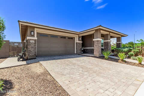 Larkspur, SURPRISE, AZ 85379