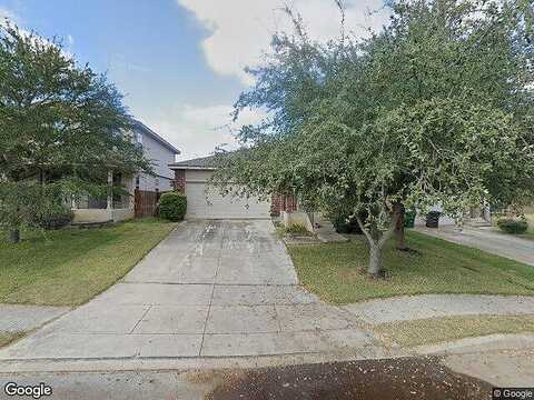 Shumard Oak, SAN ANTONIO, TX 78223