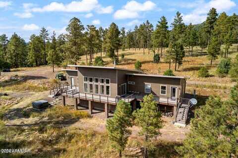 County Road 2330 --, Alpine, AZ 85920