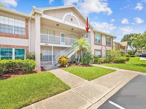 Myrtle Oak Drive, New Port Richey, FL 34653