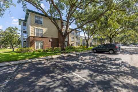 Chatham Oak Court, Tampa, FL 33624