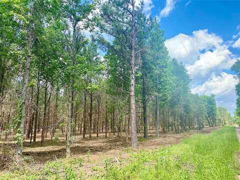 Tbd-2 County Road 374, Gladewater, TX 75647