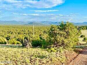 N3208 Lot C 9.81 Acres -- C, Vernon, AZ 85940