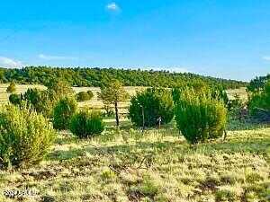 N3208 Lot D 9.81 Acres -- D, Vernon, AZ 85940