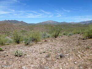 Parcel B N Columbia Trail 75, Morristown, AZ 85342