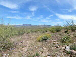 Parcel C N Columbia Trail 75, Morristown, AZ 85342