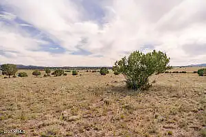 Kirby Lane Parcel B1 Lane 58, Ash Fork, AZ 86320