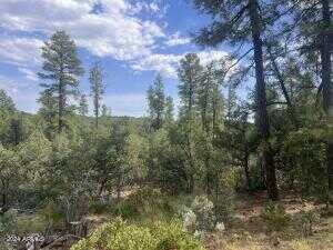 N Mistletoe Lot Q -- Q, Pine, AZ 85544