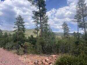 N Mistletoe Lot R -- R, Pine, AZ 85544