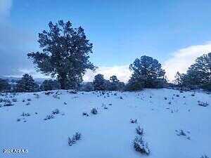 Blue Sky Drive -- C, Peeples Valley, AZ 86332