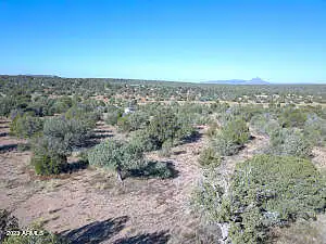 Cattle Drive 13, Ash Fork, AZ 86320