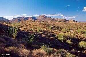 E Desert Tortoise Trail 24, Fountain Hills, AZ 85268