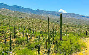 E Redington Rd 13.7 Acres -- -, Tucson, AZ 85741