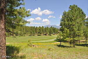 E Castle Hills Drive 3, Flagstaff, AZ 86005