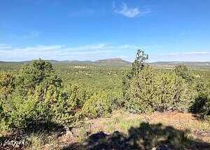 County Rd 3109 -- -, Vernon, AZ 85940