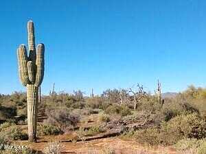 E Lone Mountain Road -, Rio Verde, AZ 85263