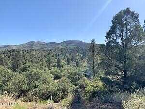 W Buck Horn Drive 1, Peeples Valley, AZ 86332