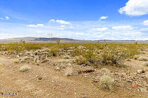 N Pinto Road 97, Dolan Springs, AZ 86441