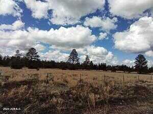 Bourdon Ranch Road -, Show Low, AZ 85901