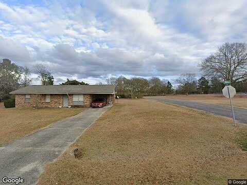 Martin Luther King Drive, Lyons, GA 30436