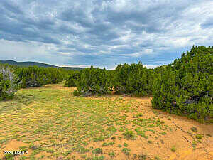 County Rd 3048 -- 467, Vernon, AZ 85940