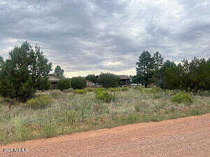 Sitgreaves Drive 270, Overgaard, AZ 85933